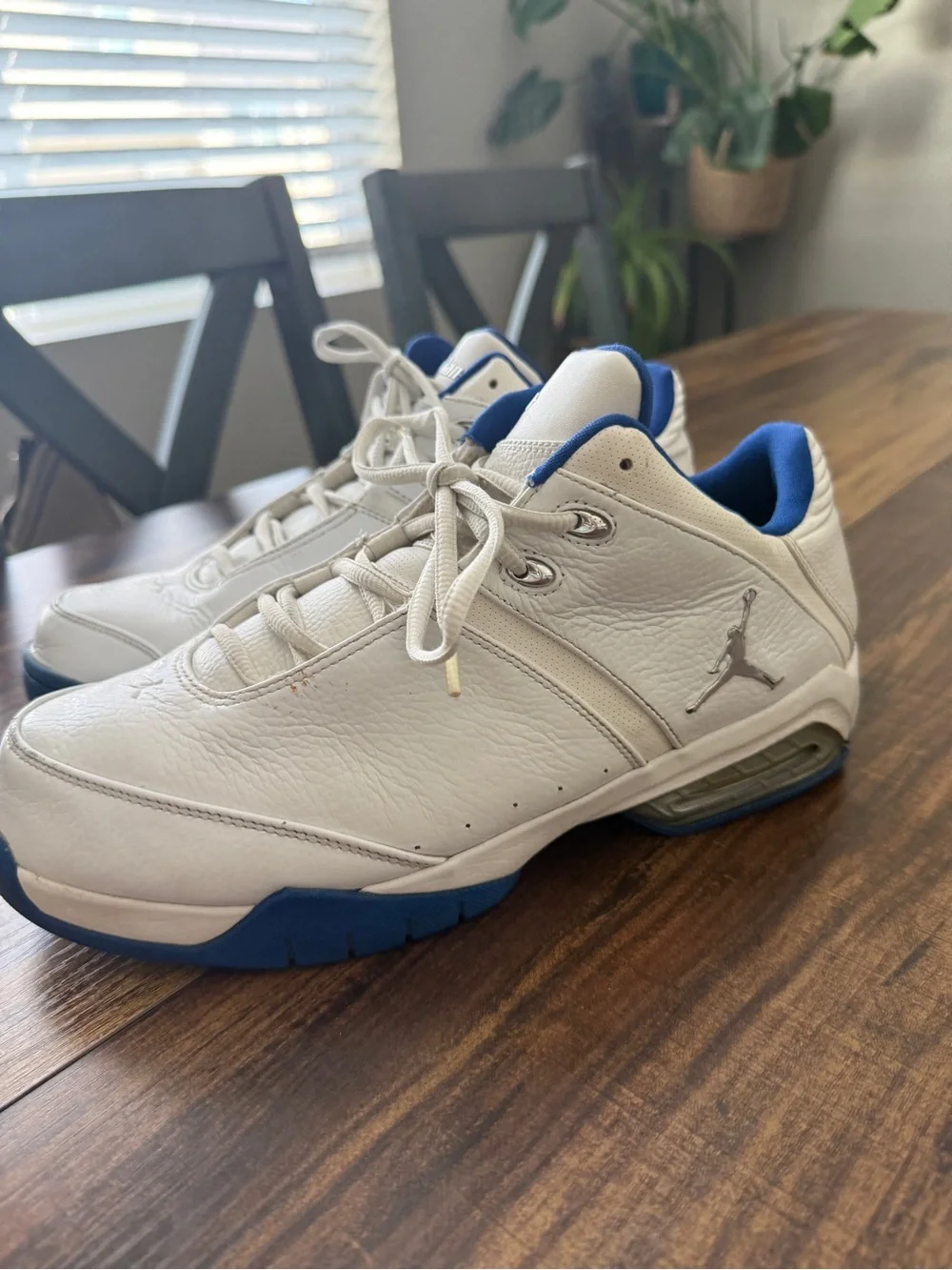 2005 Nike Air Jordan Team Reign White and Blue- retro